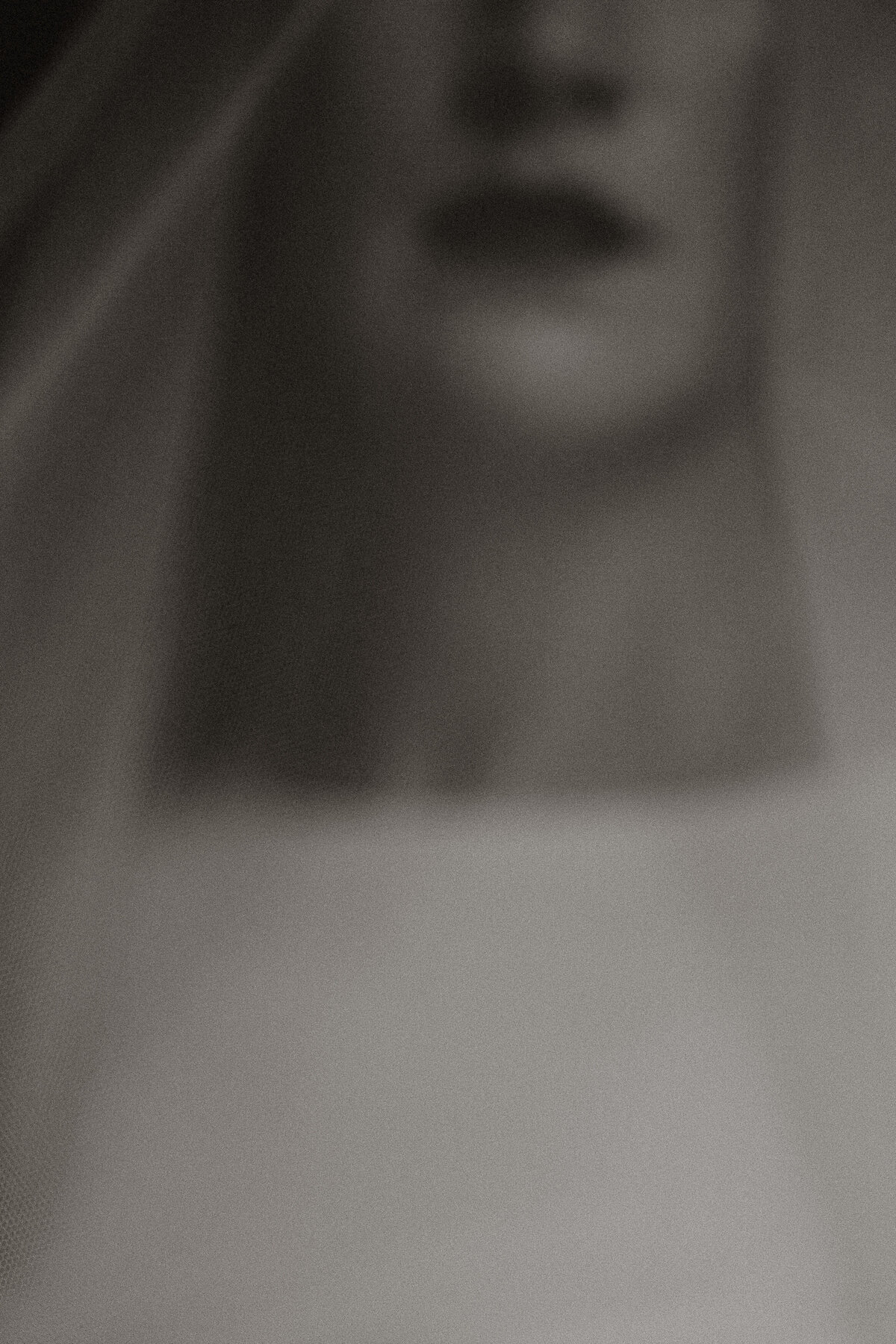 WEBSITE-ottawa-toronto-pec-kingston-ontario-quebec-lifestyle-couples-elopement-wedding-photographer-1562