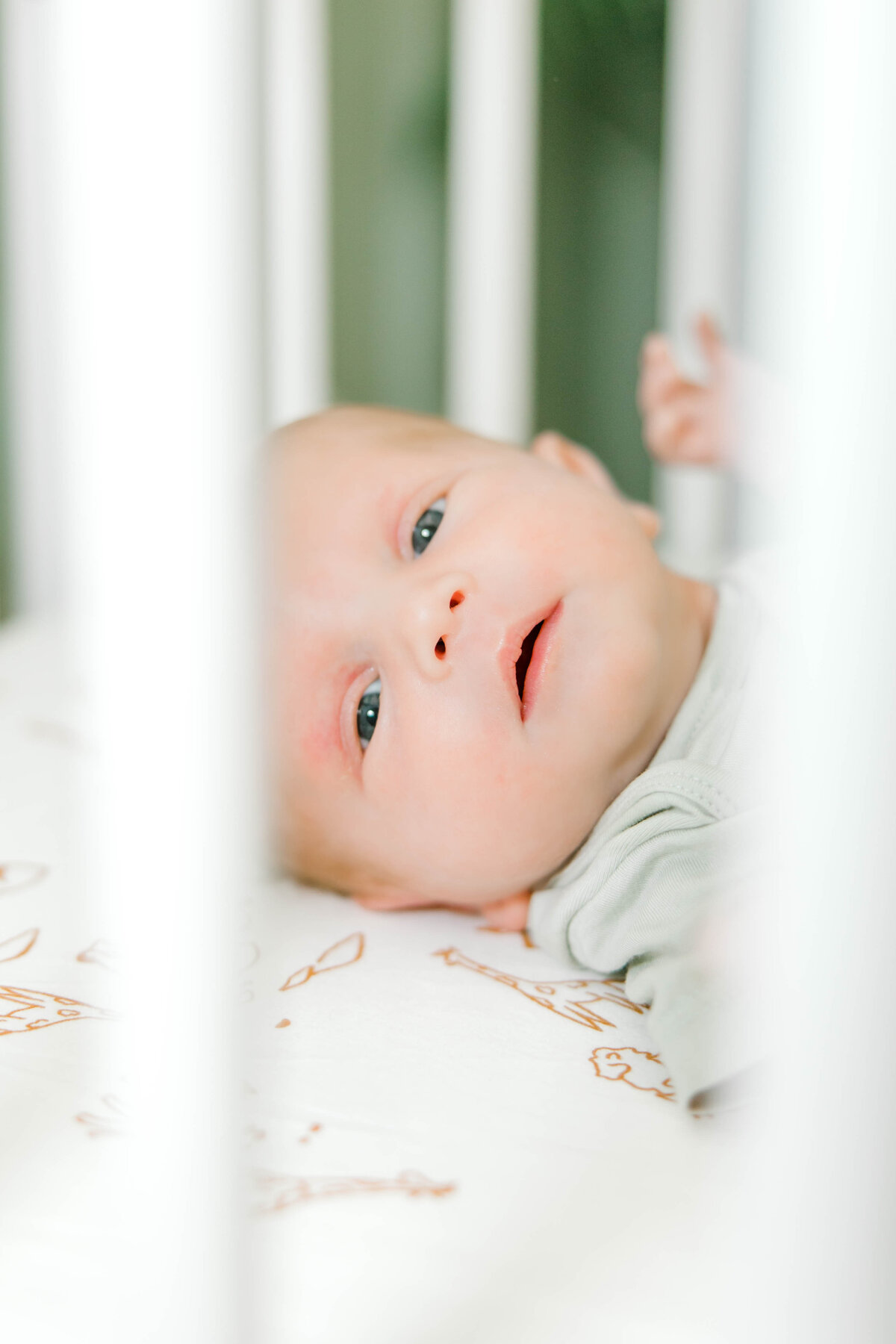 Powell Newborn-42