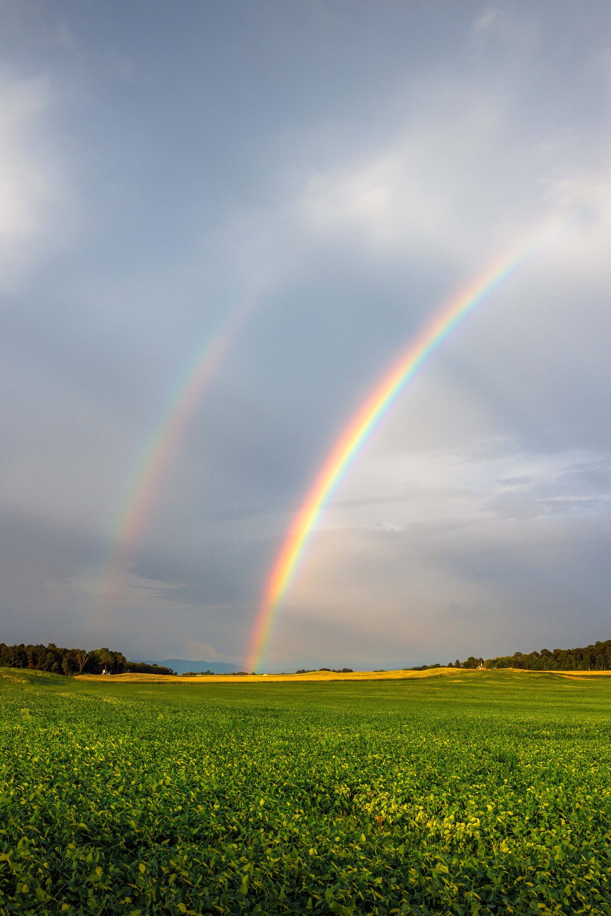 2x3_Lowres_FarmlandRainbow-6678