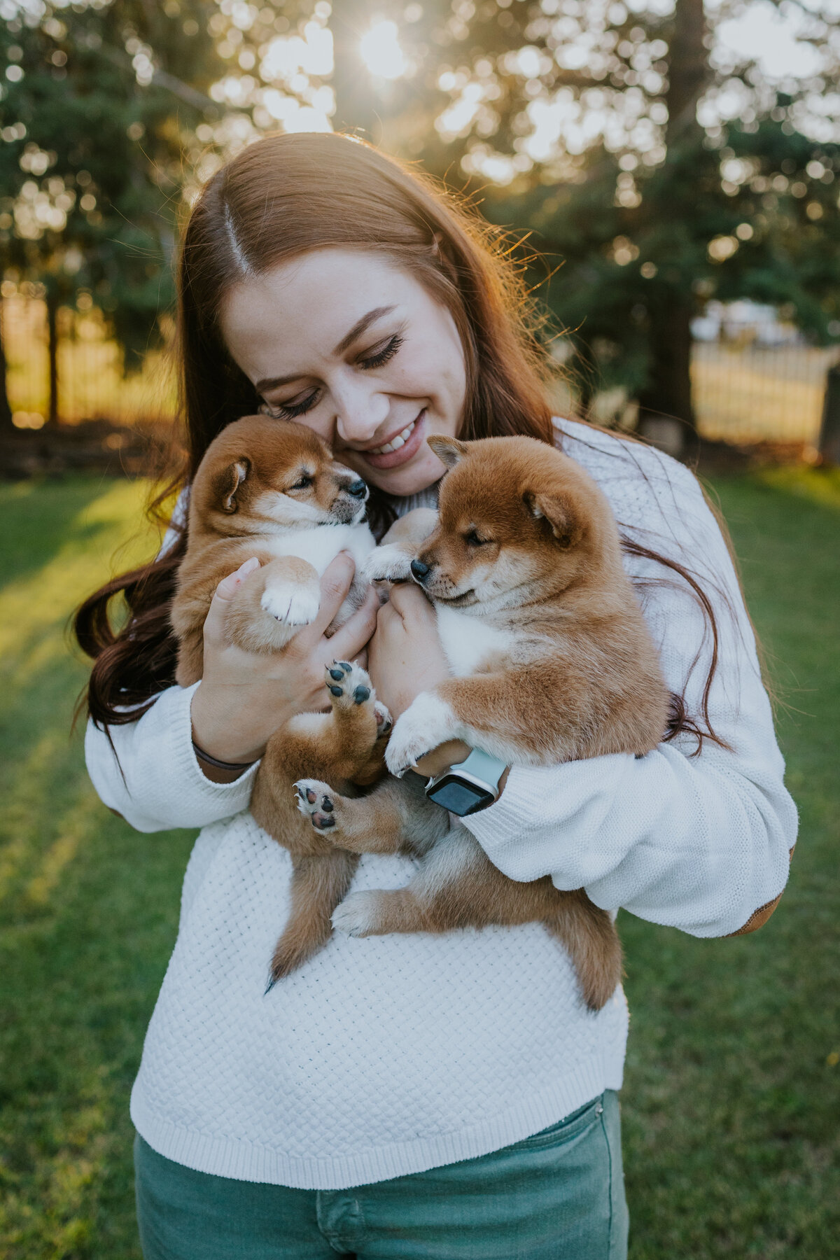 Dog breeder snuggles two shiba inu puppies with sun setting behind.