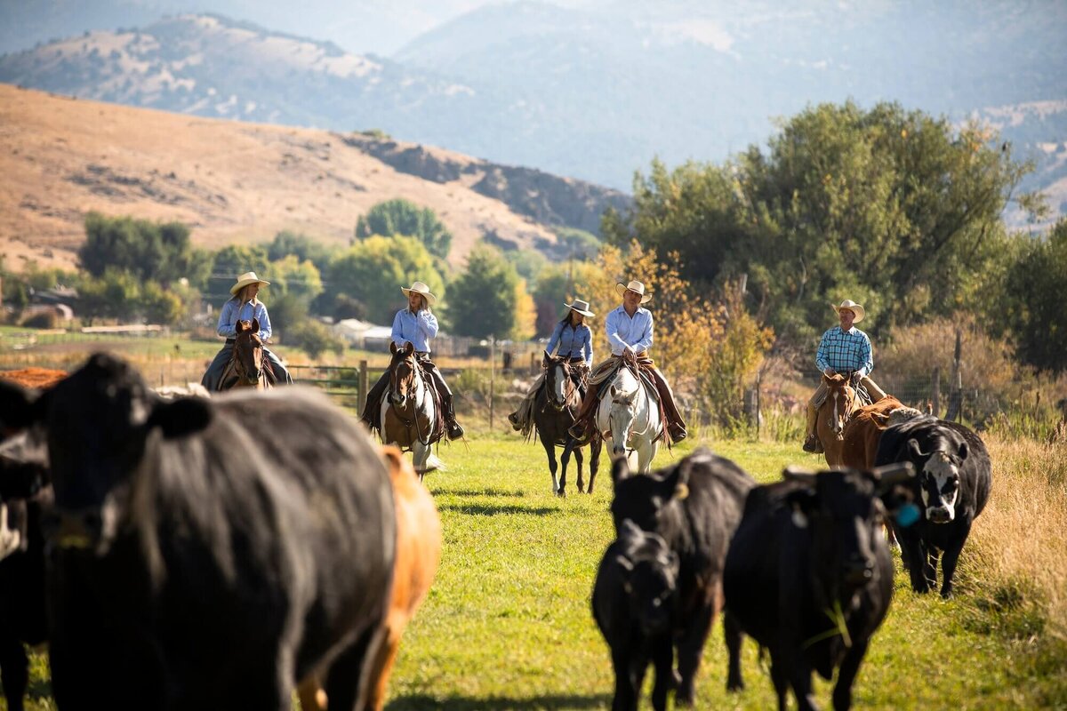 BSK_Experience_Equine_2019_1588 (1)(1)