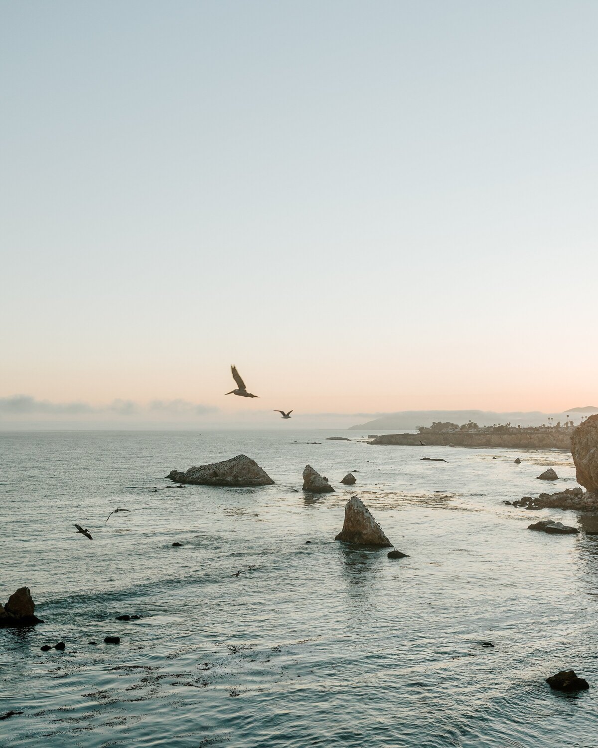 2022.07.16 Gabi and Chris Wedding_Pismo_Bethany Picone Photography_02 Details-52