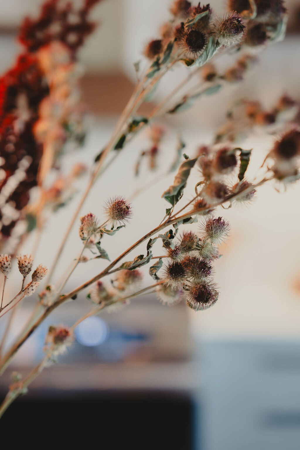 home styling services revelstoke