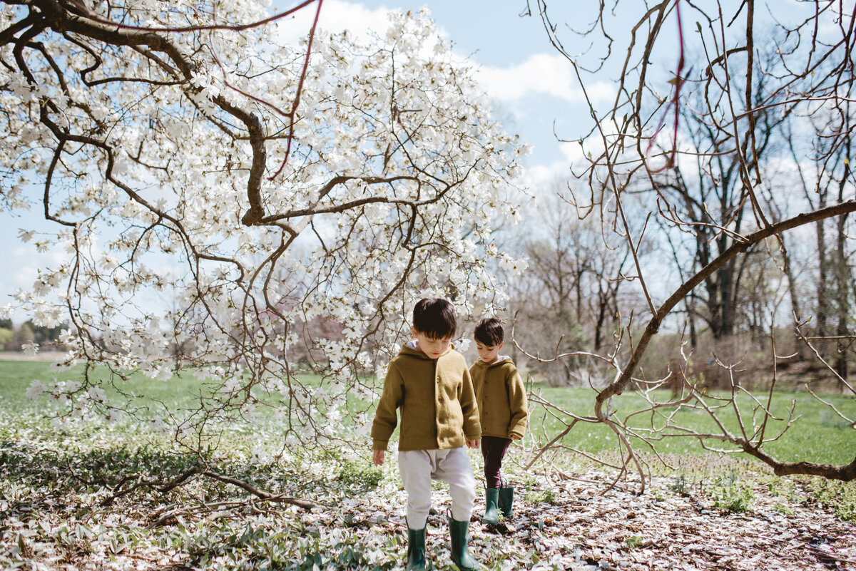 family-photographer-oak-park