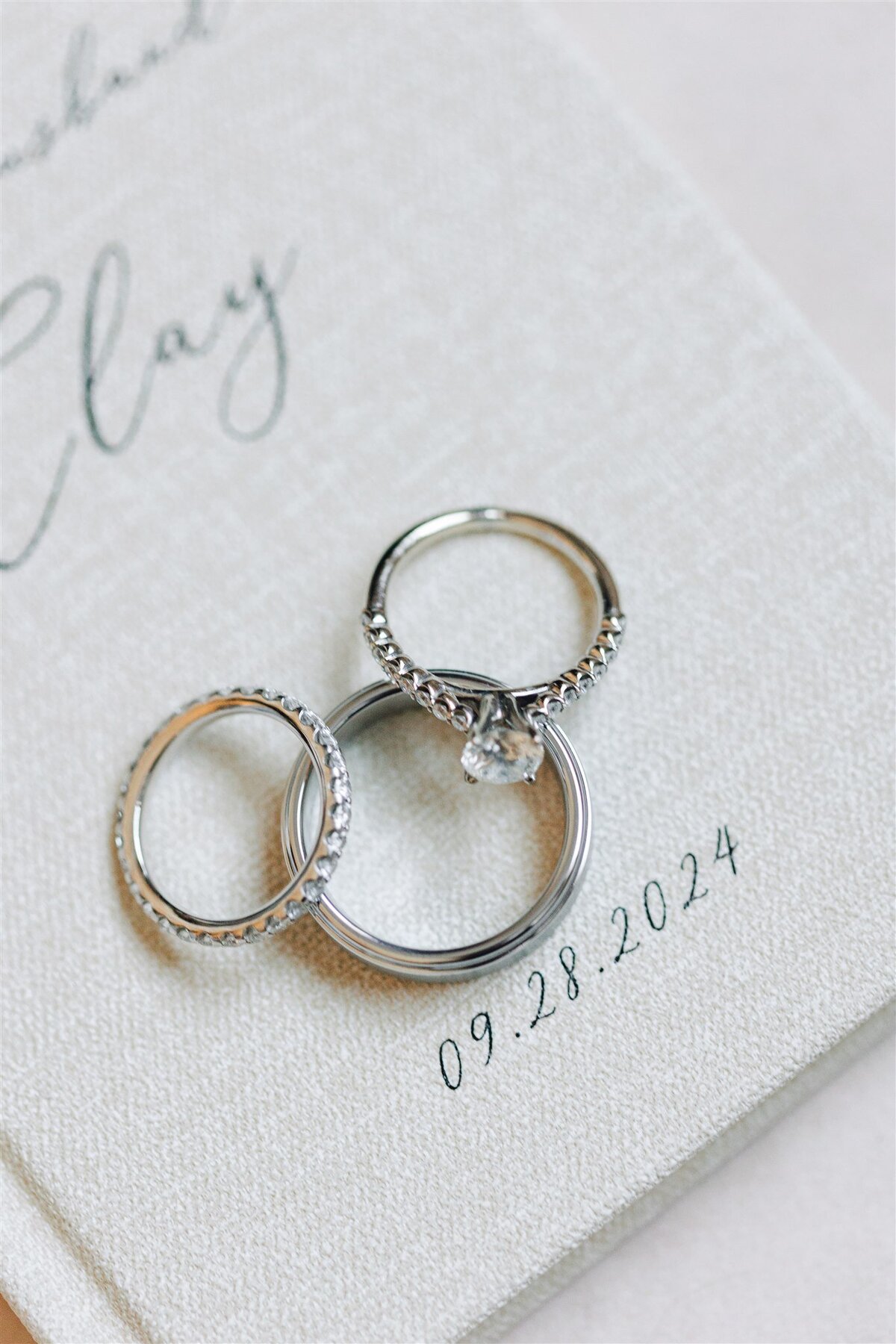 park-winters-wedding-shauna-clay-ashley-carlascio-photography-0015