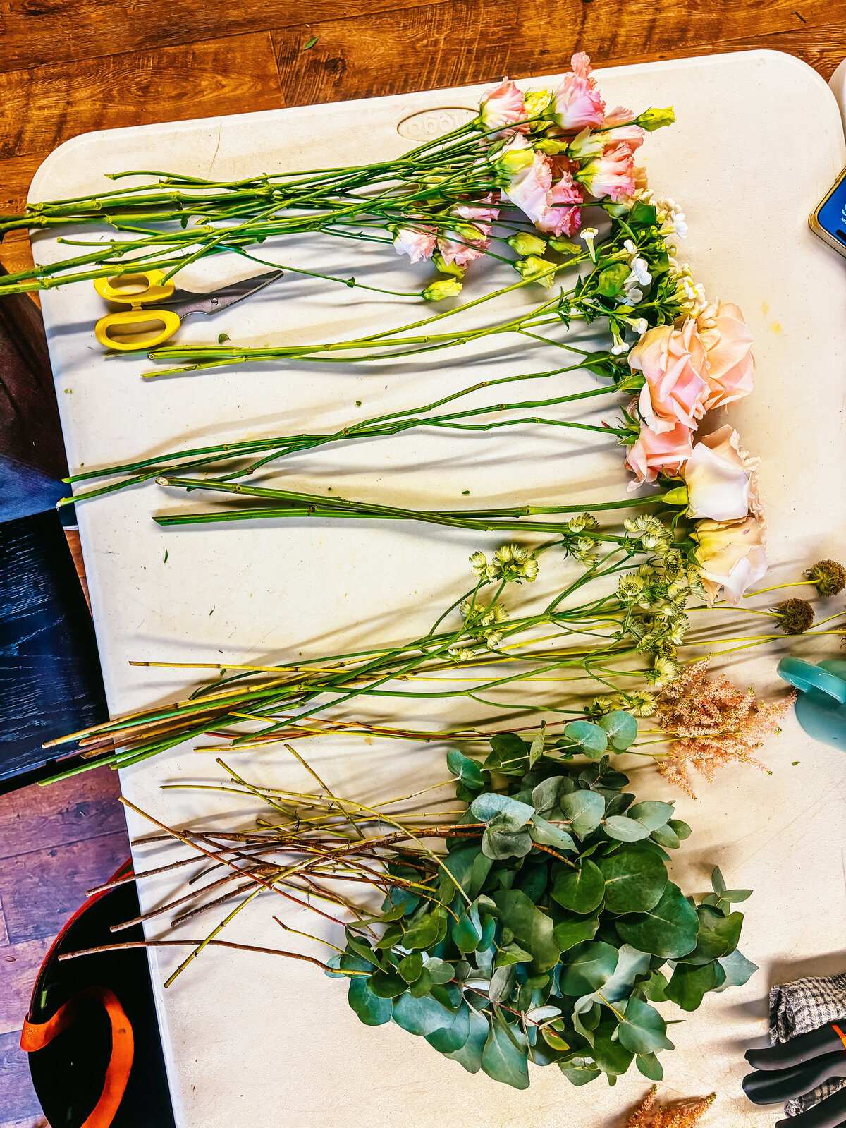 0B7AA7AF-4A27-4910-ABC8-D44E16C1F9F6