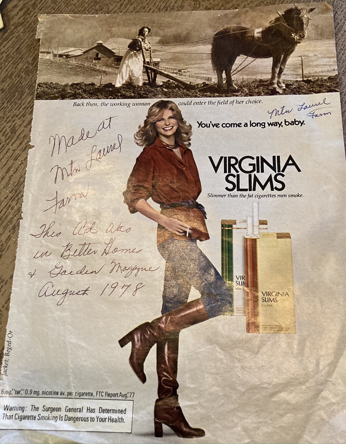 mountain-laurel-farm-publication-9
