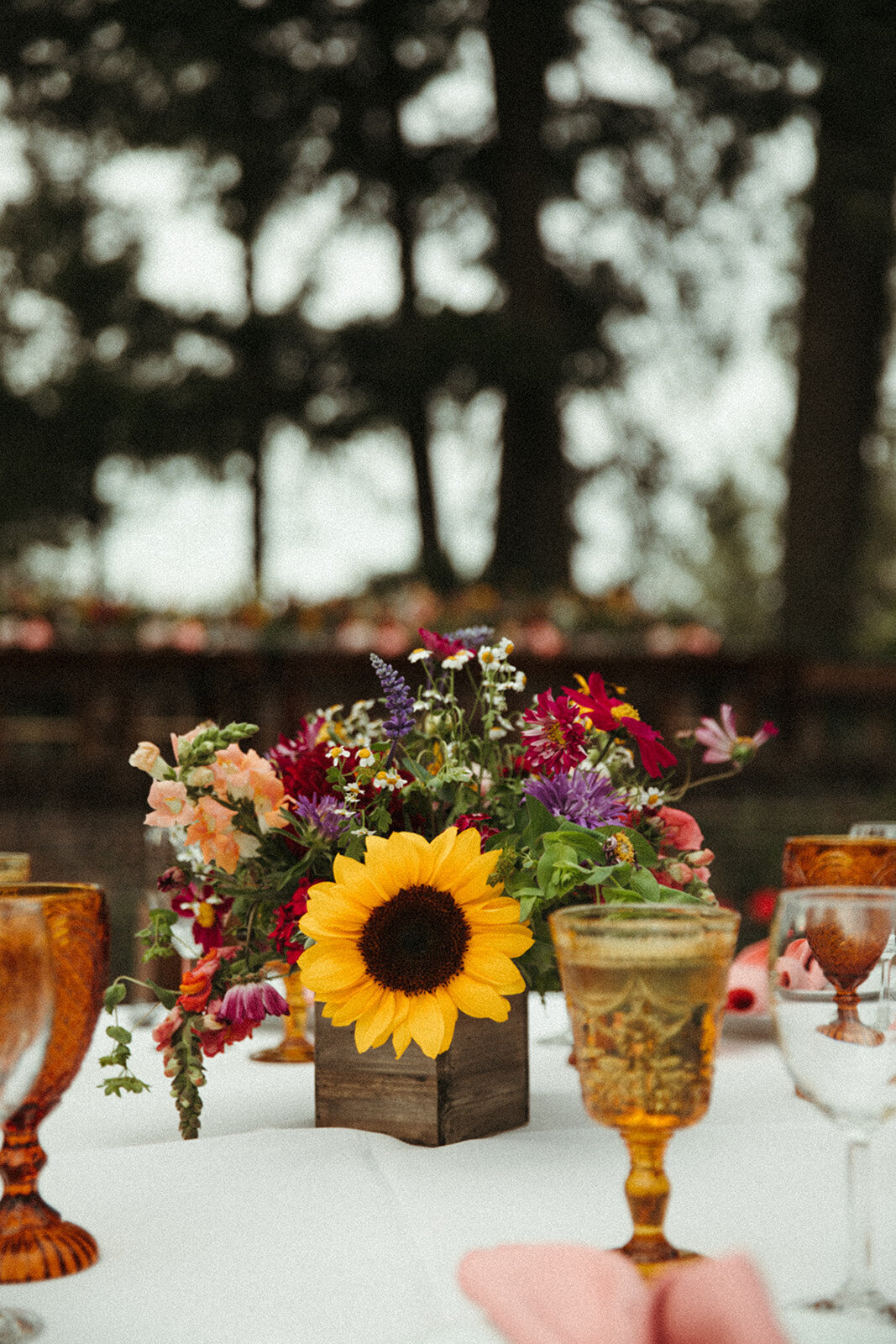 BeeHaven Flower Farm Bonners Ferry Idaho Floral Florals Classes Workshops Farm Stand Fresh Cut Flower Bouquets All Occasion Flowers Weddings Events Wedding Funeral Sympathy Grower Growing Farmer 10