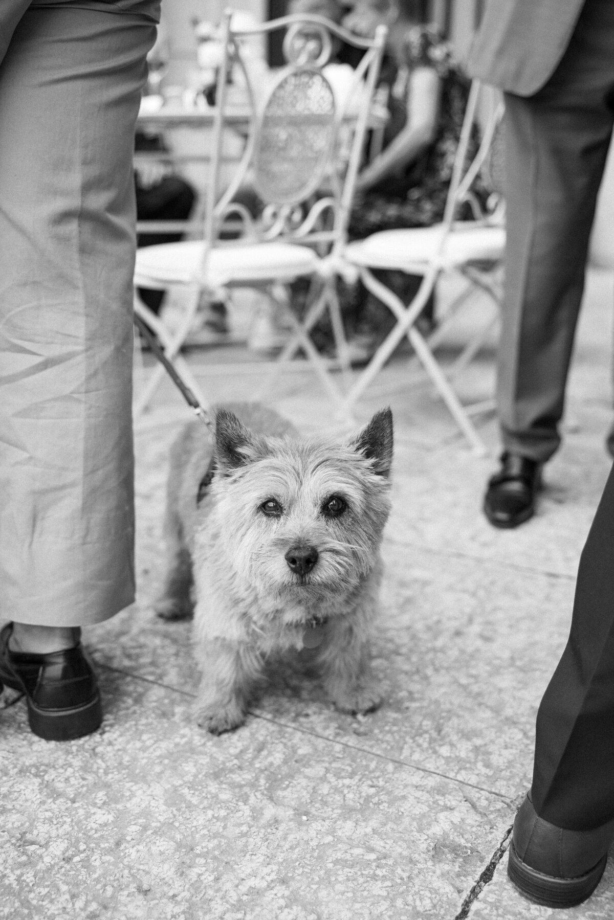 mailys-fortune-photography-destination-wedding-photographer-villa-erba-lake-como-116