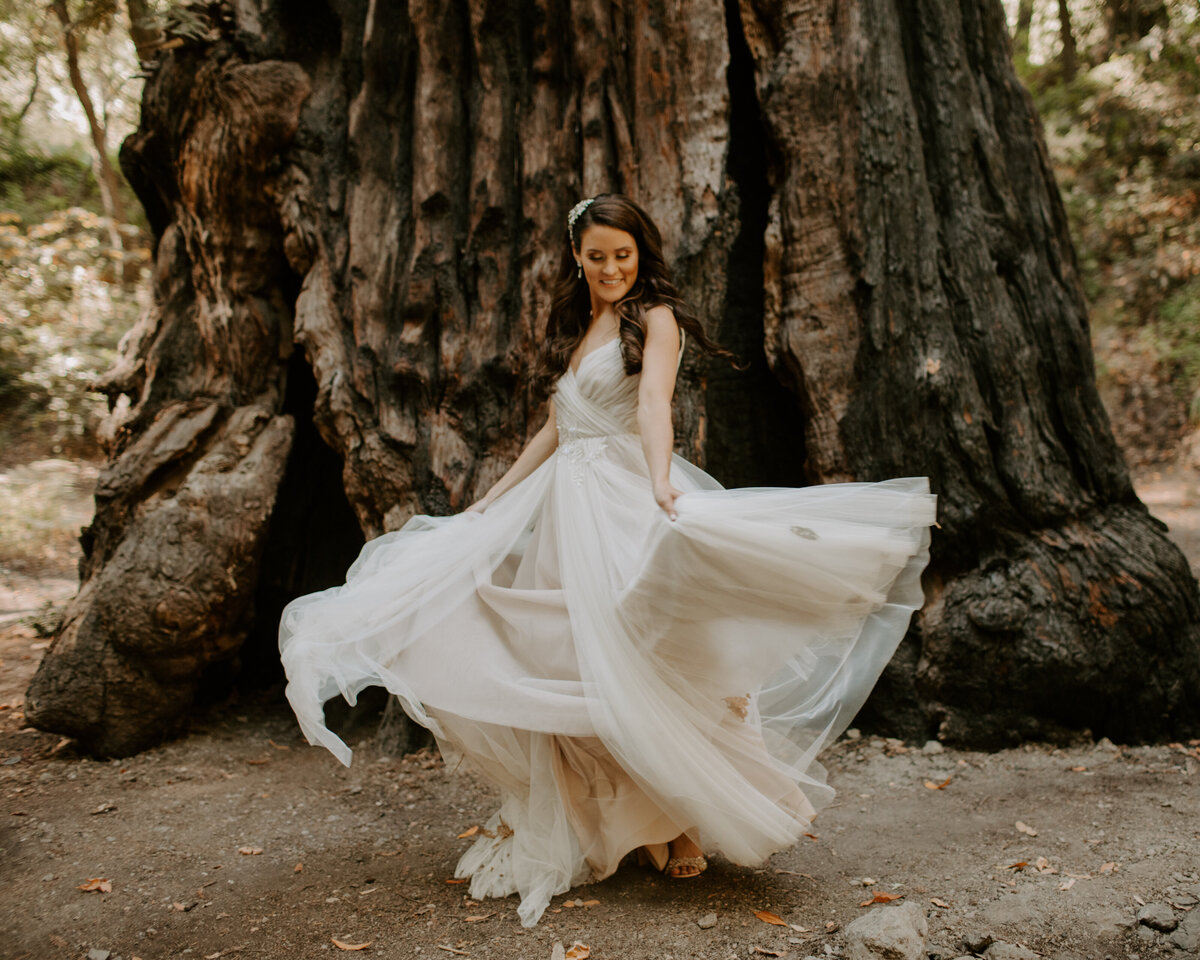 napa-wedding-photographer