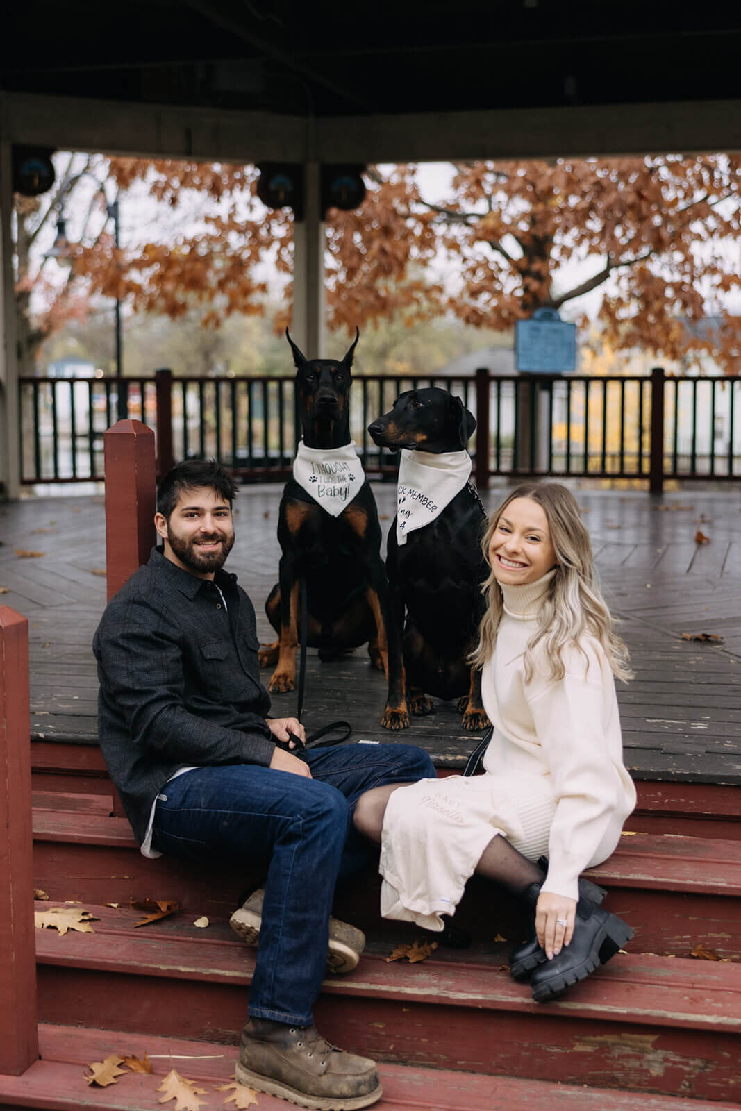 Couple sitting on steps with 2 dogs for pregnancy announcement photos in Finger Lakes New York