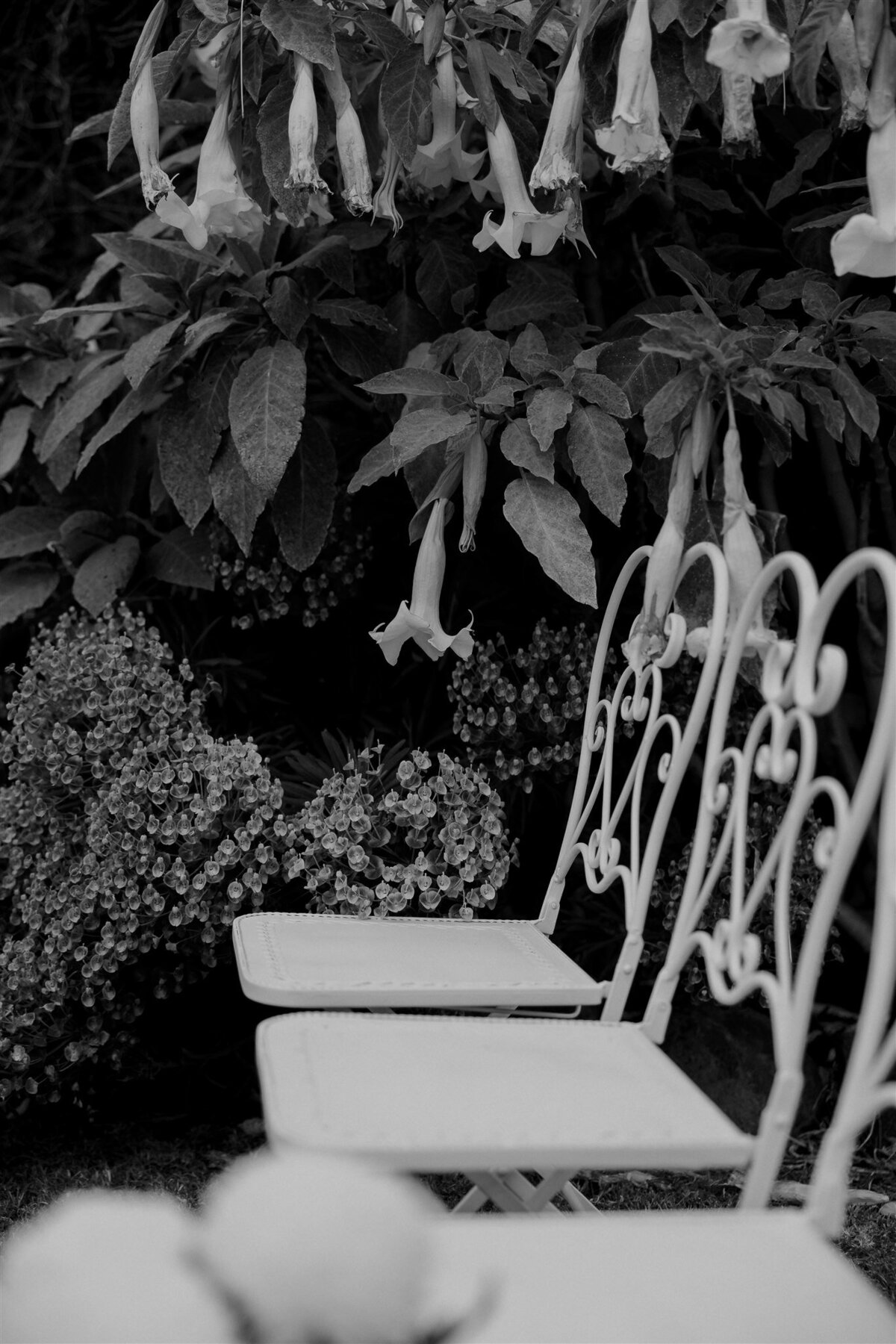 Maegan-Brown-Moments_231103_Wedding_Lauren-Bernie_Frolic-Lane_0646