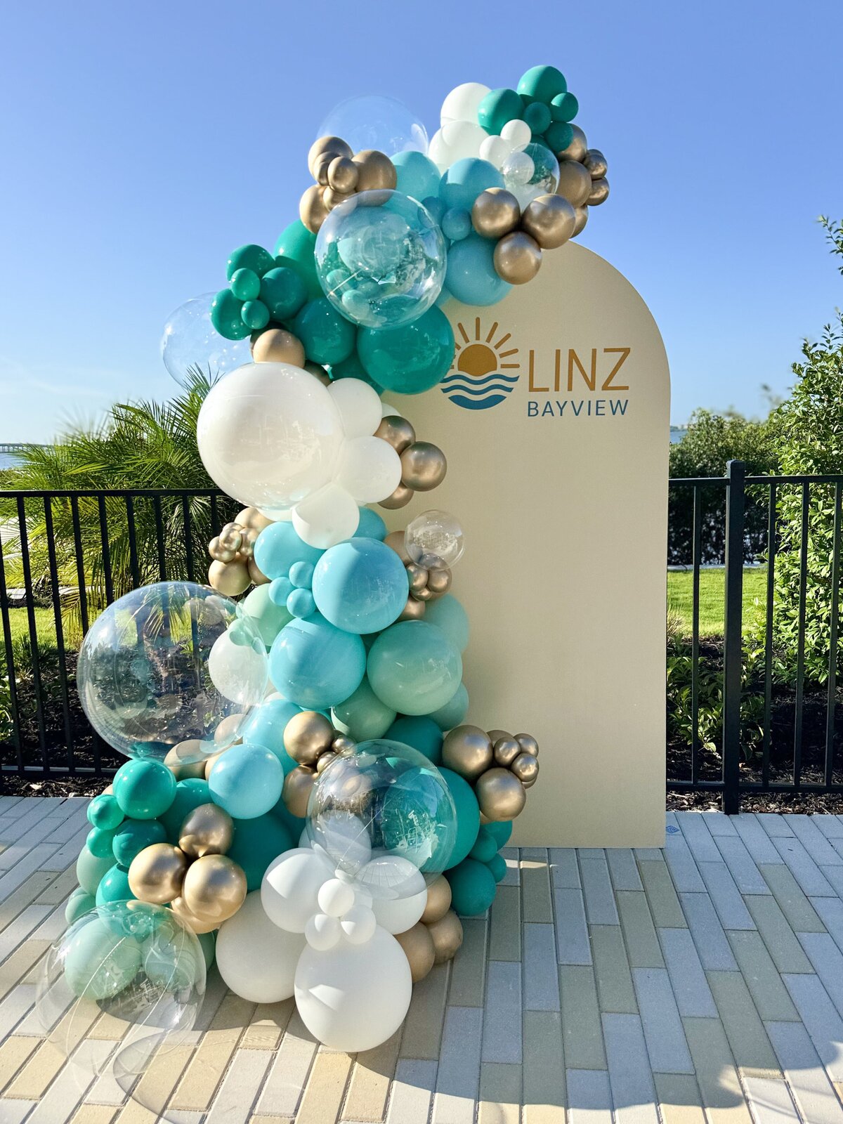 Linz Bayview balloons - Clearwater