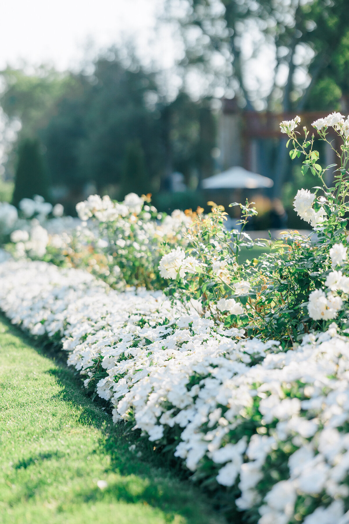 Lexi Benjamin Photography_Summer Armour House Wedding_07.12.24-165