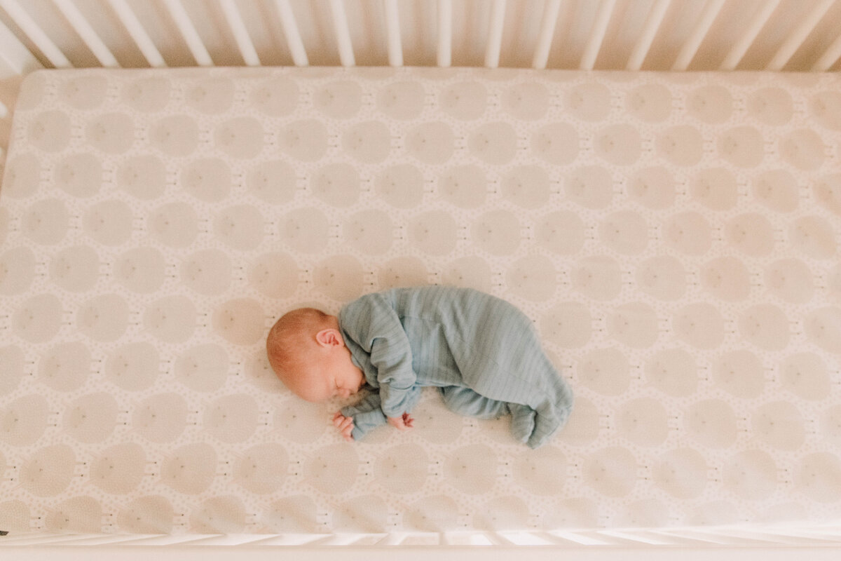 Elizabeth Priniski Madison Birth Newborn Photographer-2