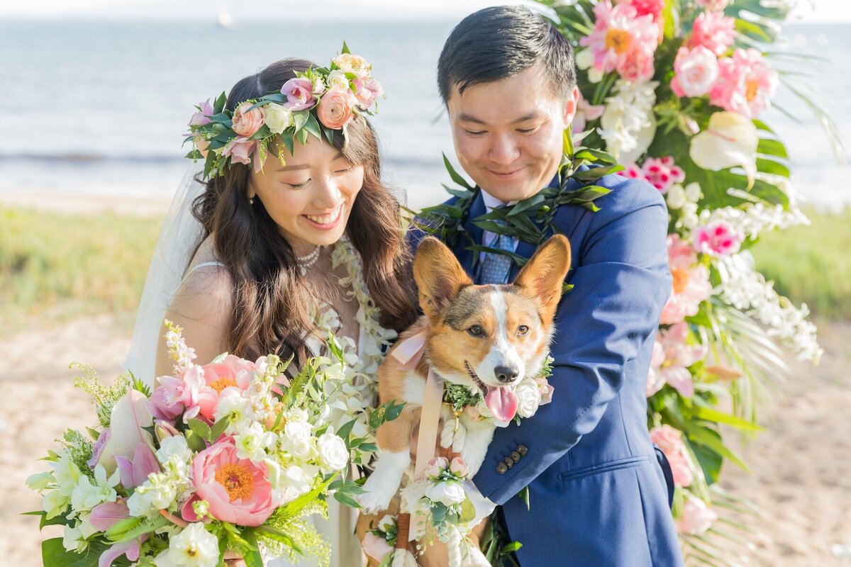 Hawaii Wedding Photography of wedding with corgi 