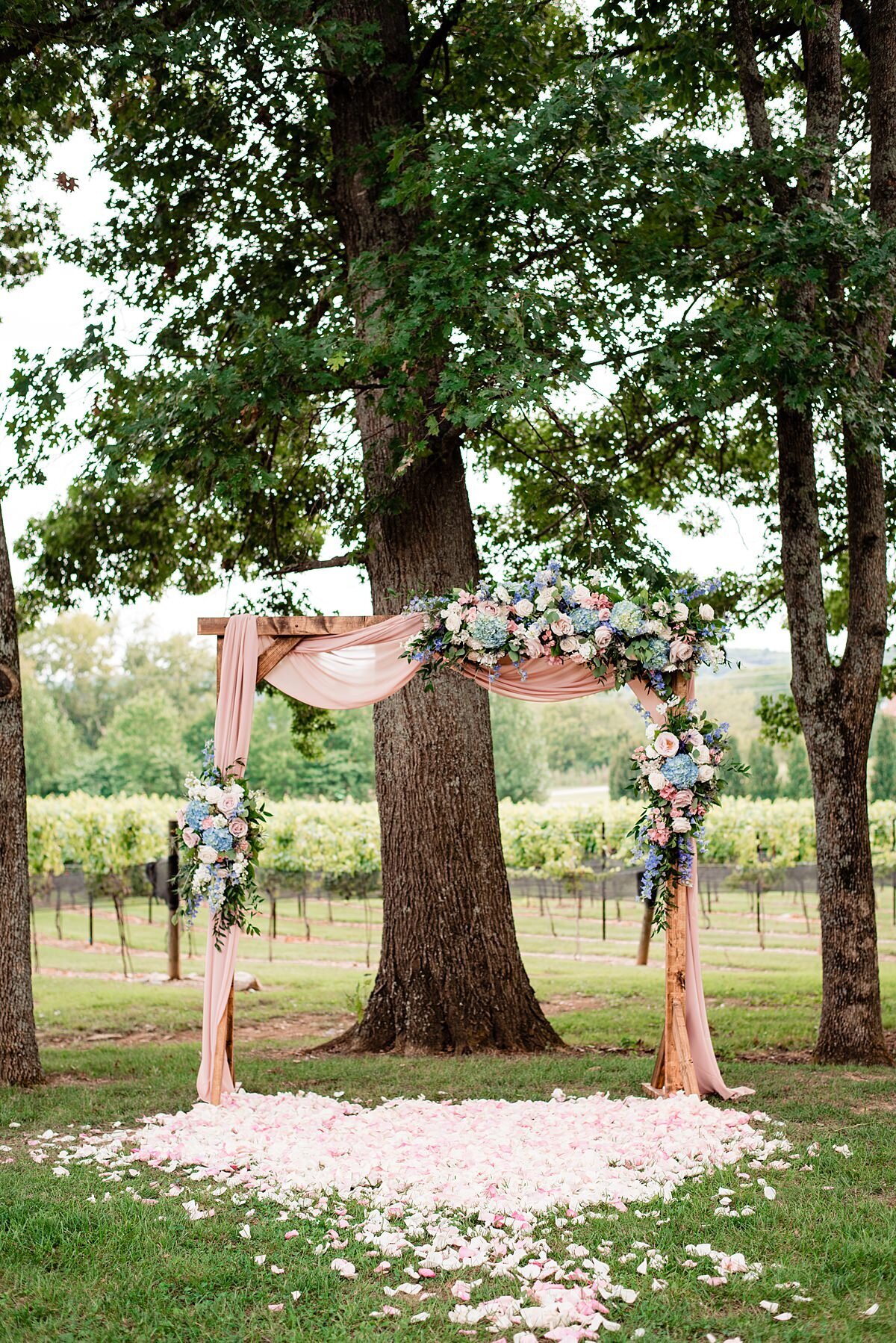 A wood wedding arbor, draped in blush pink sheer fabric decorated with three large floral sprays of white roses, blue hydrangea, and blush roses. The ground in front of the arbor is covered with white and blush rose petals. Behind the arbor are rows of grape vines at Arrington Vineyard.