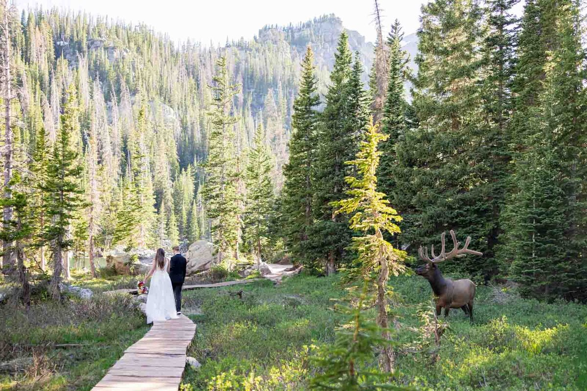 Rocky-mountain-adventure-session-22