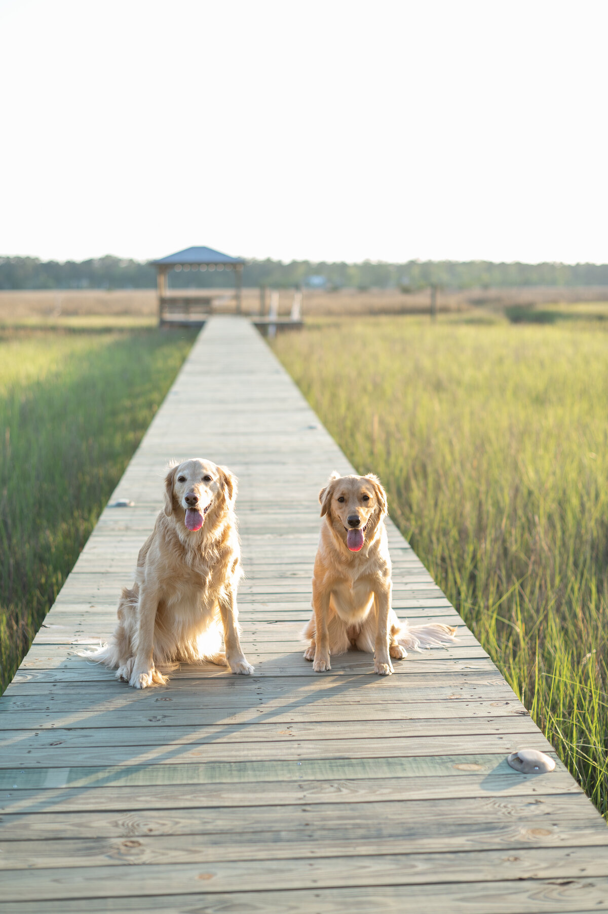 Devon + Dantzler_Final_KGP083