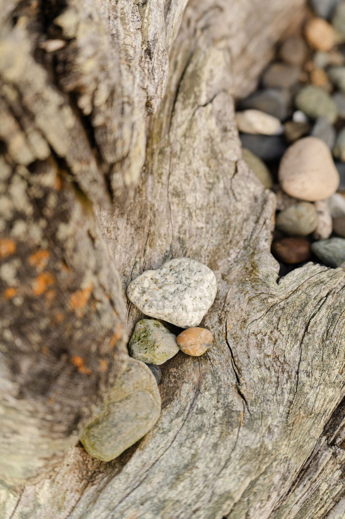 Bellingham-Wedding-Photographer_Guemes-Island-Resort_Caylie-Mash_SR0061
