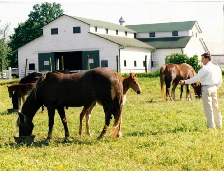 5g Dad Show Barn