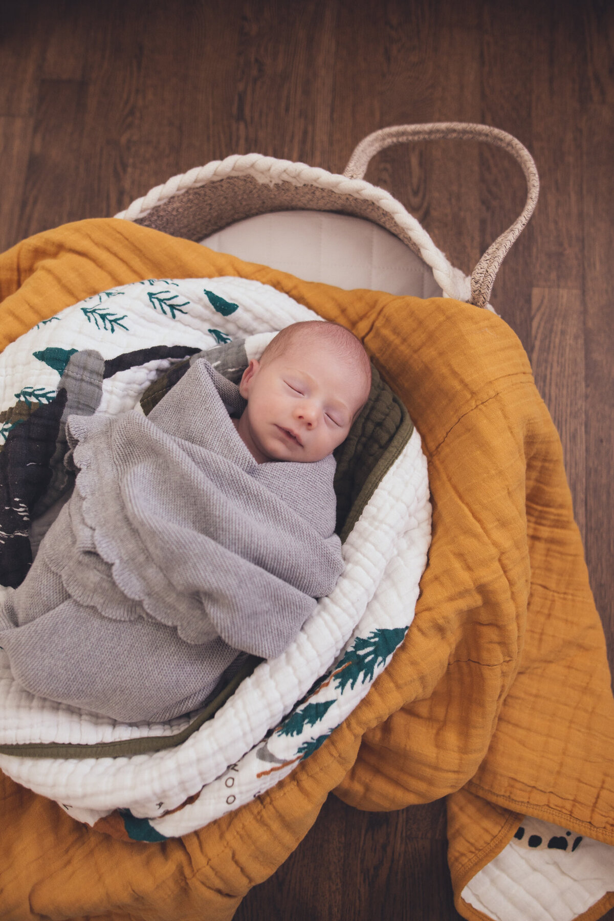 Lindsay-wilson-photography-in-home-newborn-40