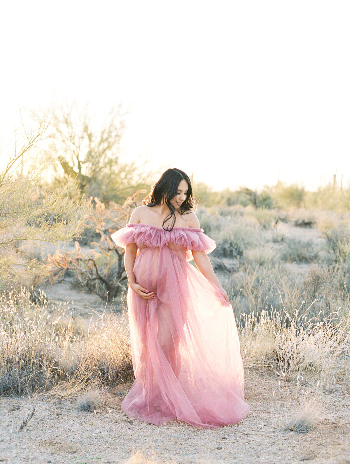 Amber Lacey Photography: Phoenix, Arizona Photography