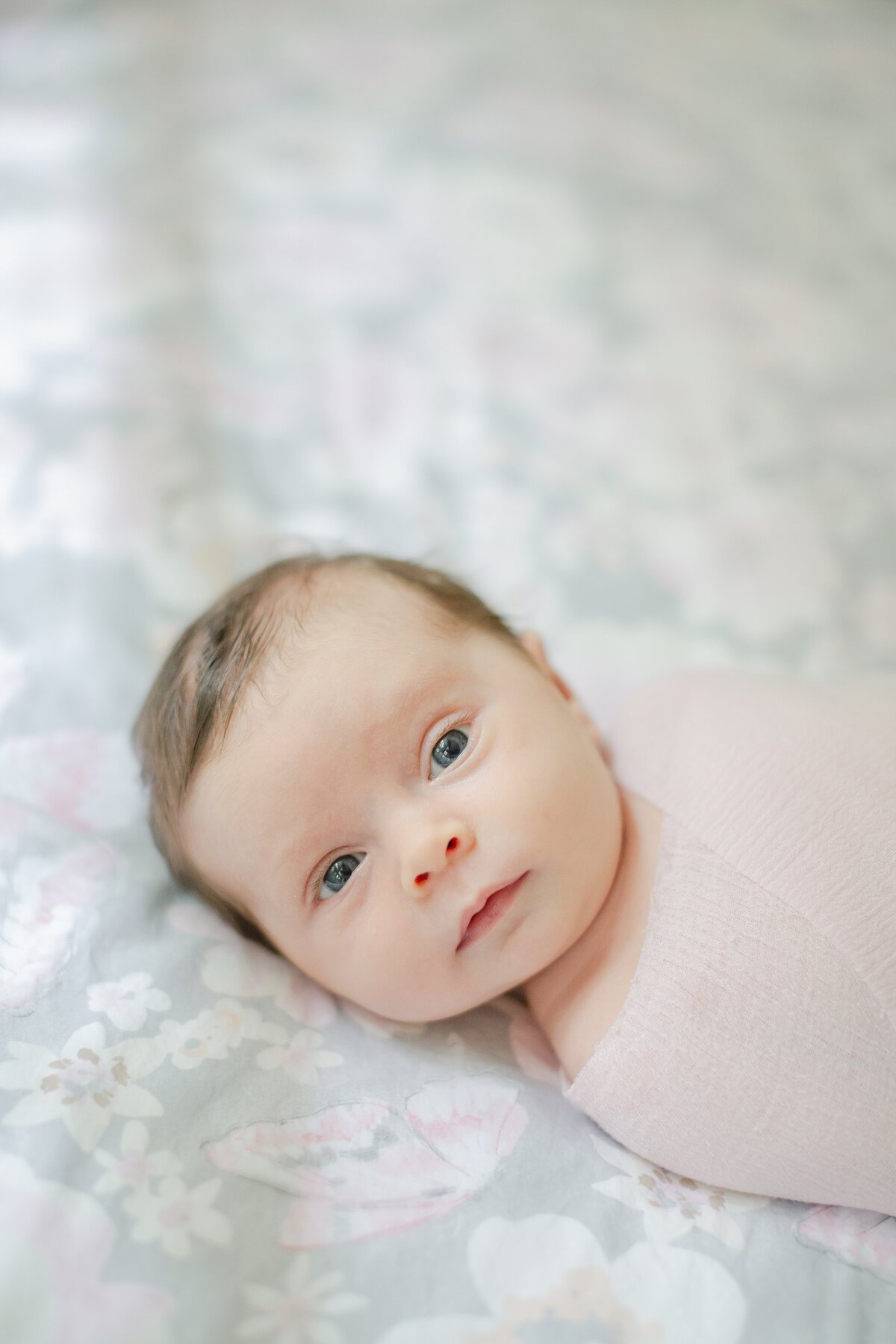 Baby looks at camera during newborn session.