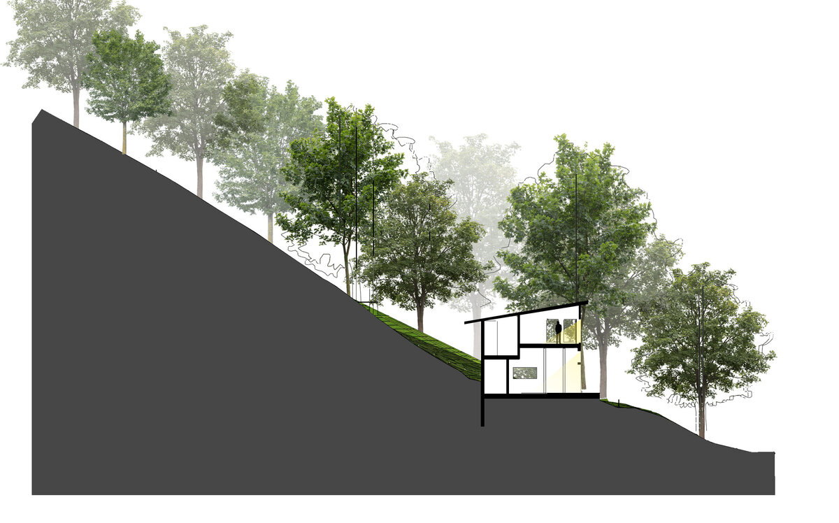 Section with trees copy
