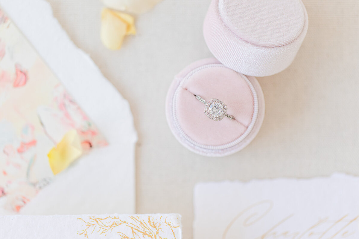 Tennessee Wedding Photographer