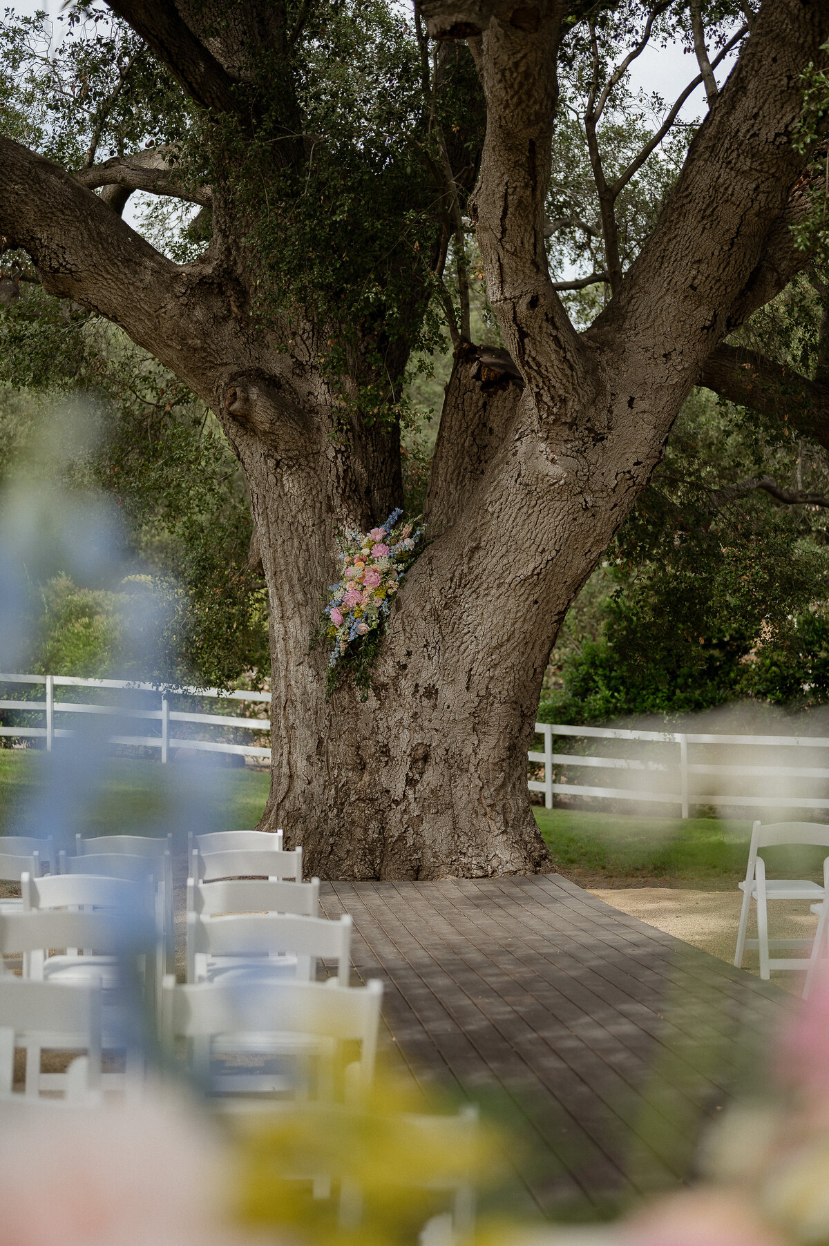 abstillsphotography_weddingelopementphotographer-176
