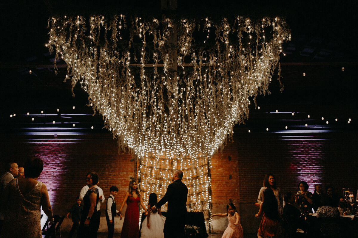 over head greenery + icicle lights