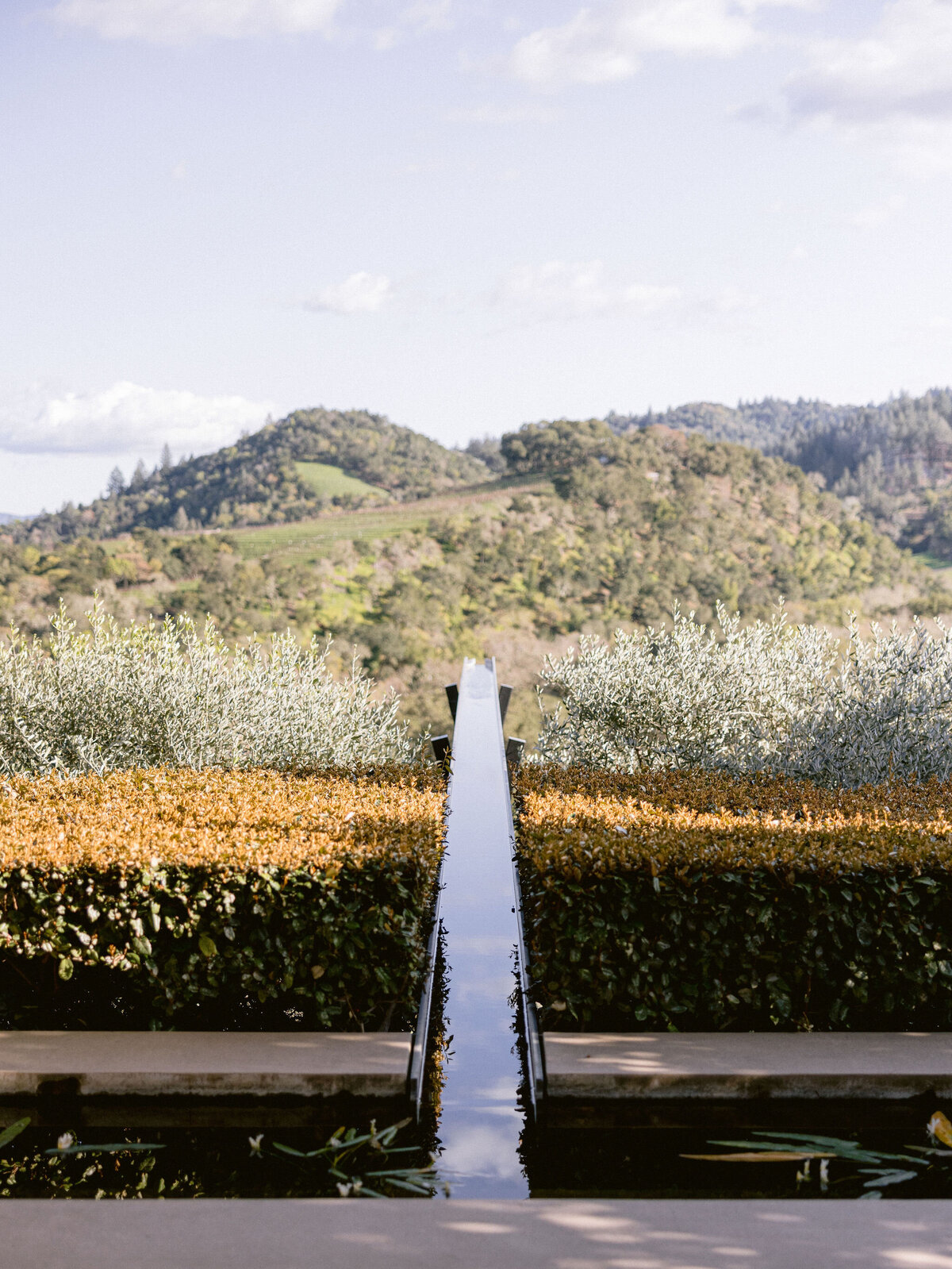 129-larissa-cleveland-laurie-arons-events-wedding-california-photographer-171