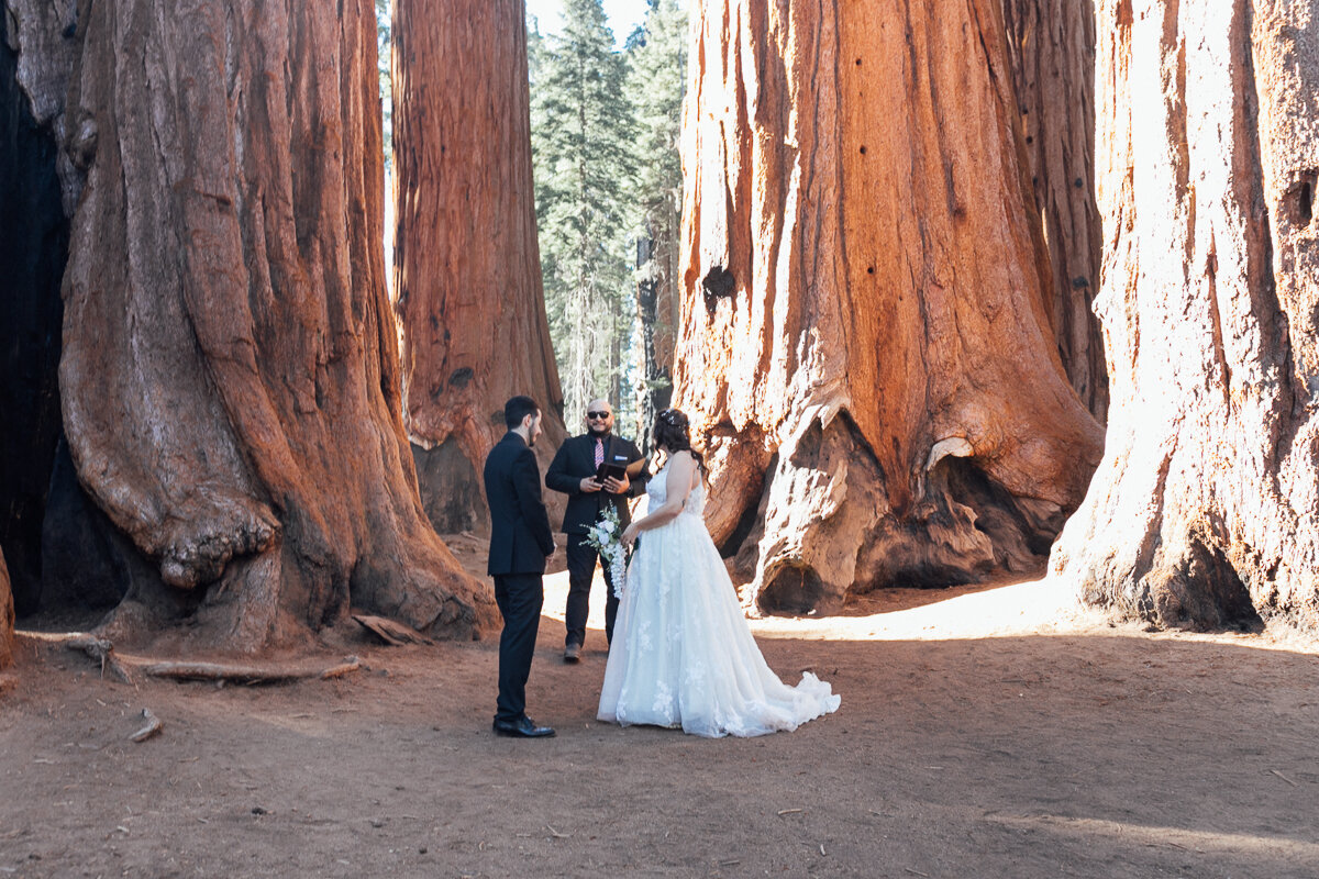 californiaelopement-sequoianationalparkelopement-redwoodelopement-9
