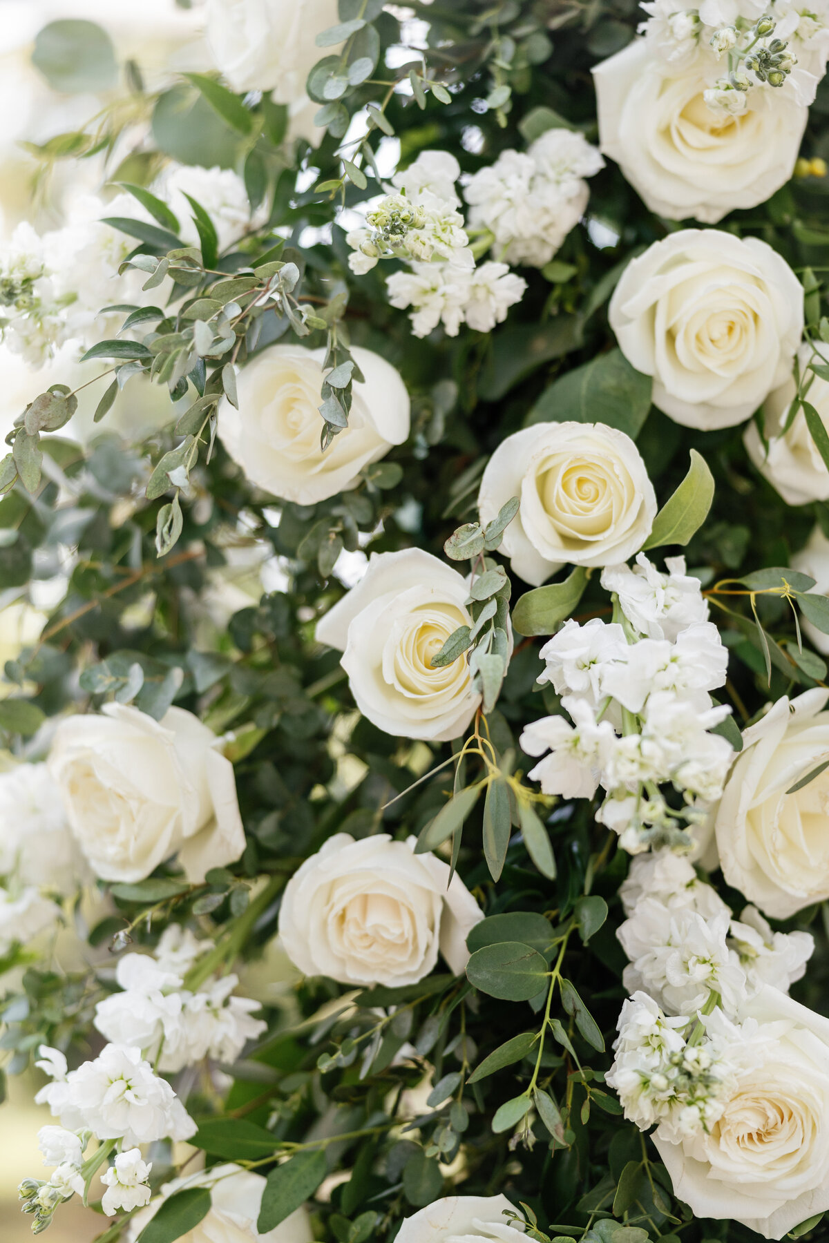 Michigan Wedding Photographers