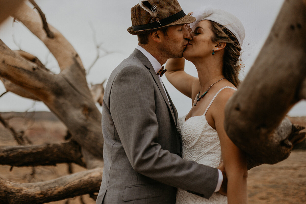 bride and groom kissing against an old dead tree