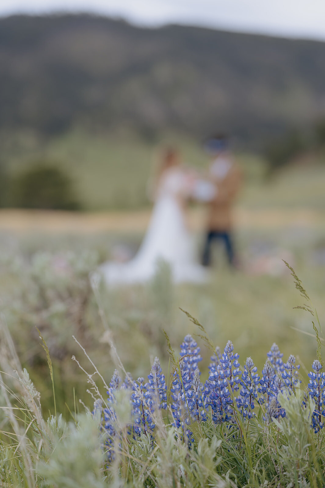 Carly-Patrick-Sheridan-Wyoming-Elopement-039