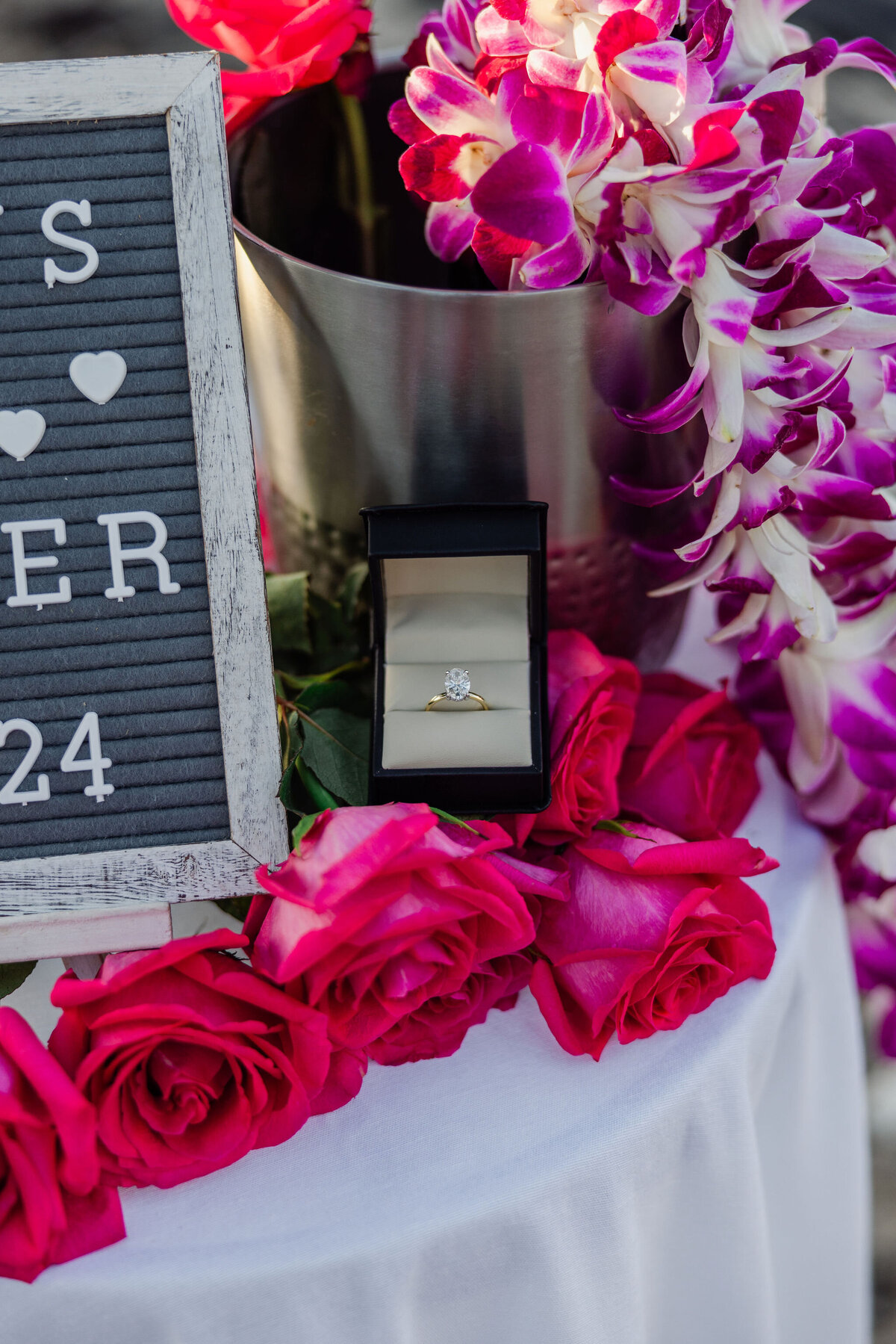 Hawaii-Proposal-Big-Island-Engagement (52)