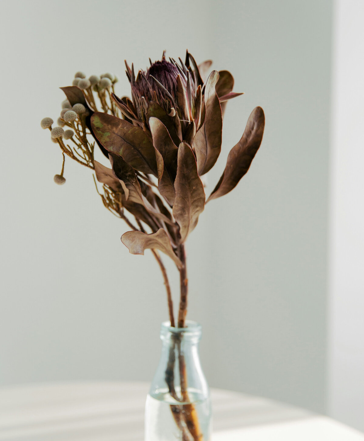 tamara-shchypchynska-DUpeTSYwXXY-unsplash