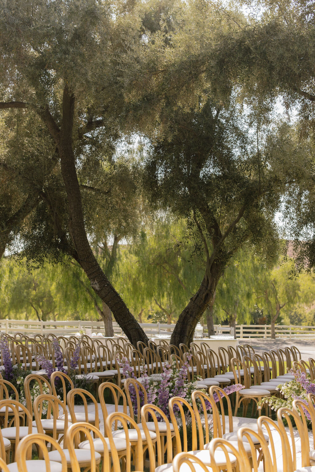 79_Emily_Jason_Hummingbird Nest Ranch_ Wedding_Alison Rose Events_Wedding Planner