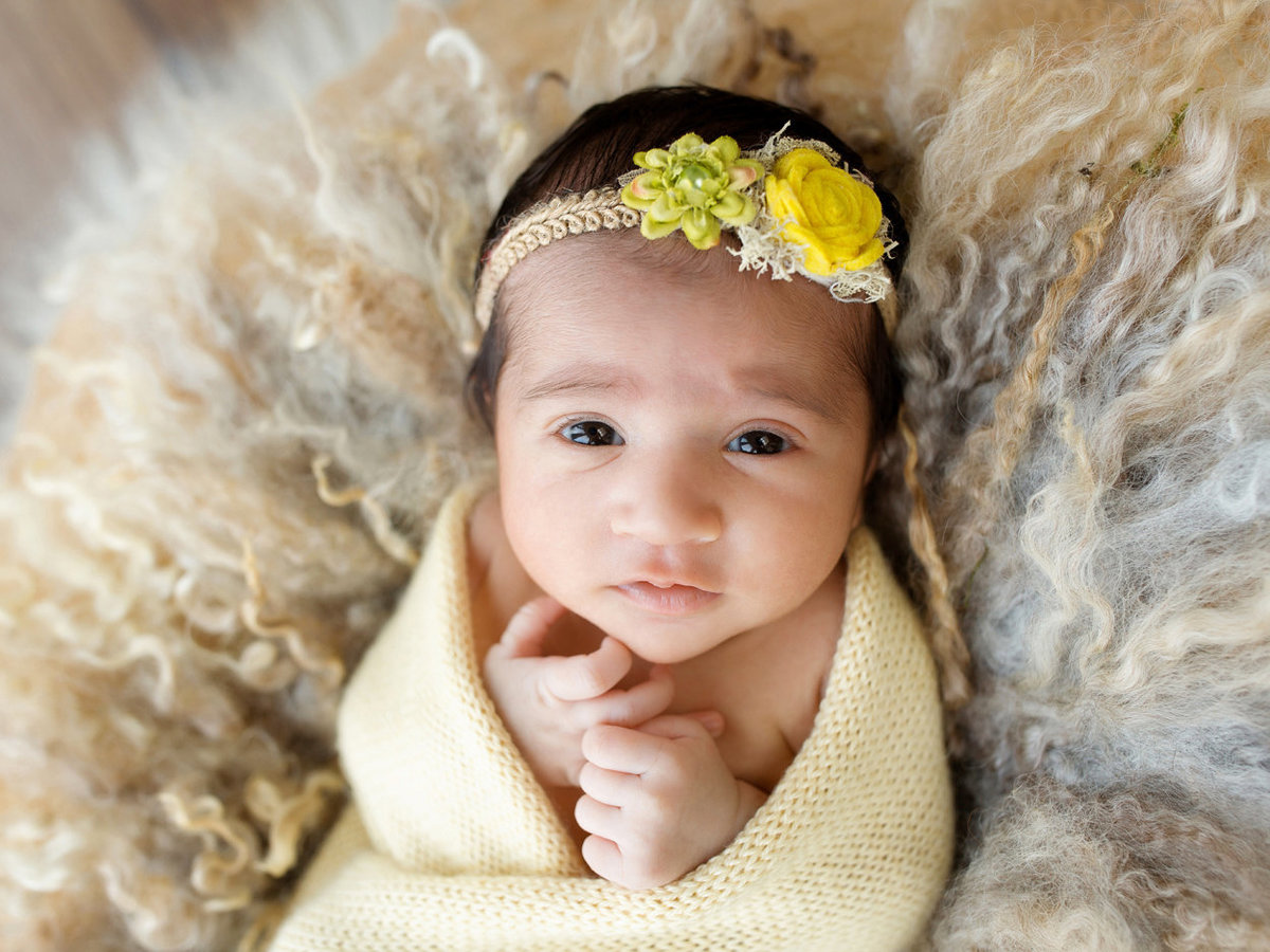 newborns baby girl photos029