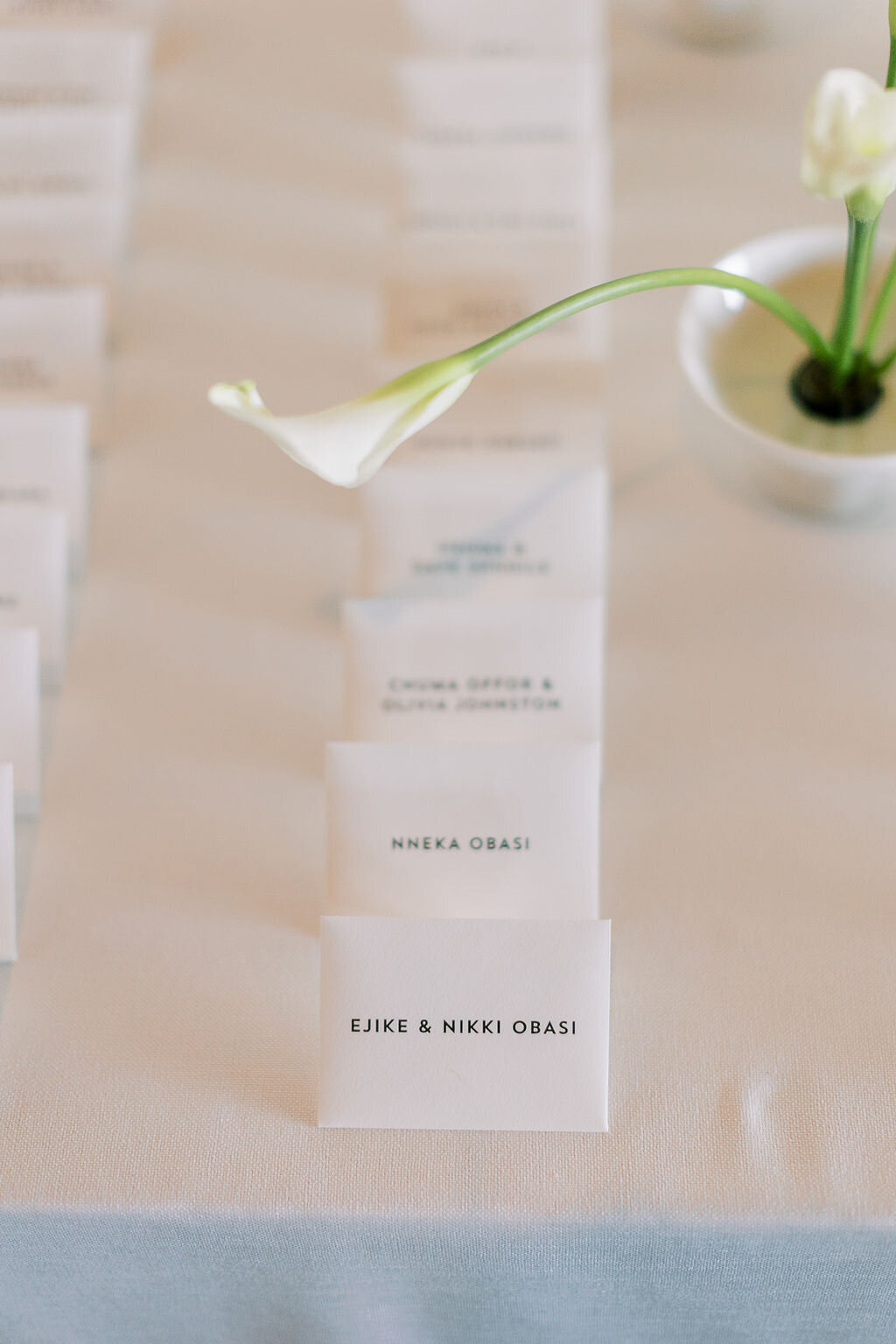 A refined seating card arrangement with delicate florals, showcasing thoughtful wedding details.