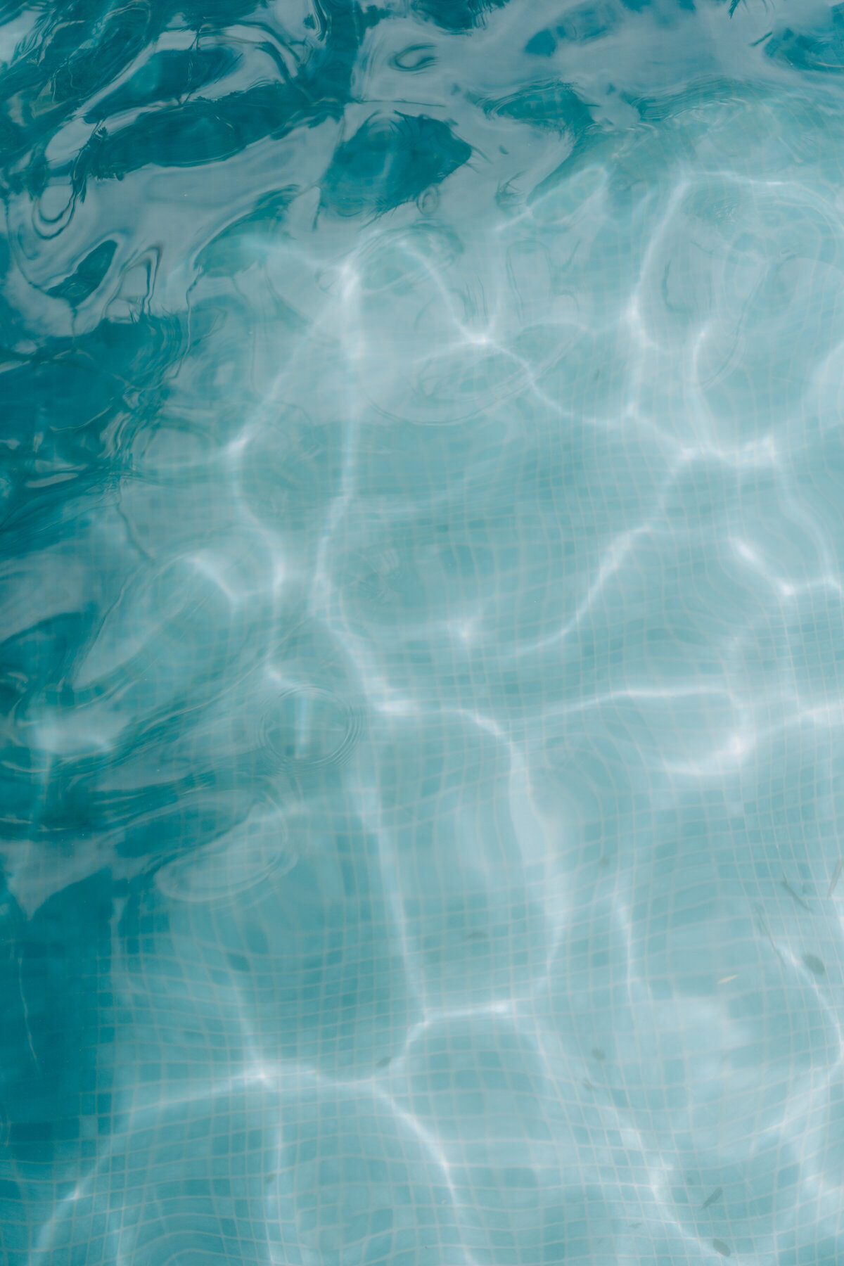 haute-stock-photography-subscription-lush-collection-final-3