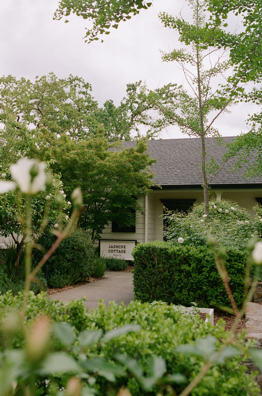 AnnaCalvin-Wed2025-194