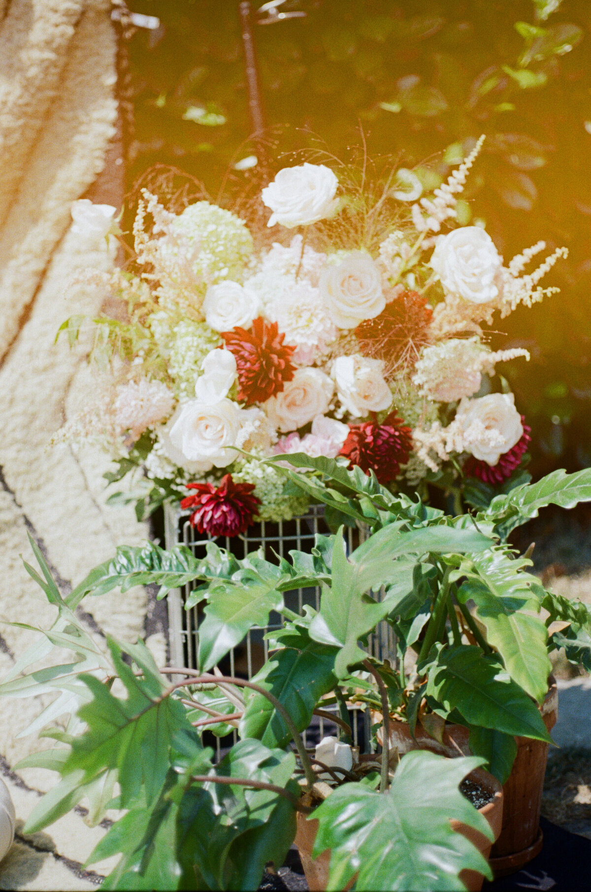Portland Wedding Photographer