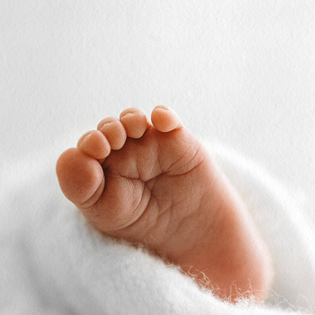 LittleWhitePhotography-Newborn-7