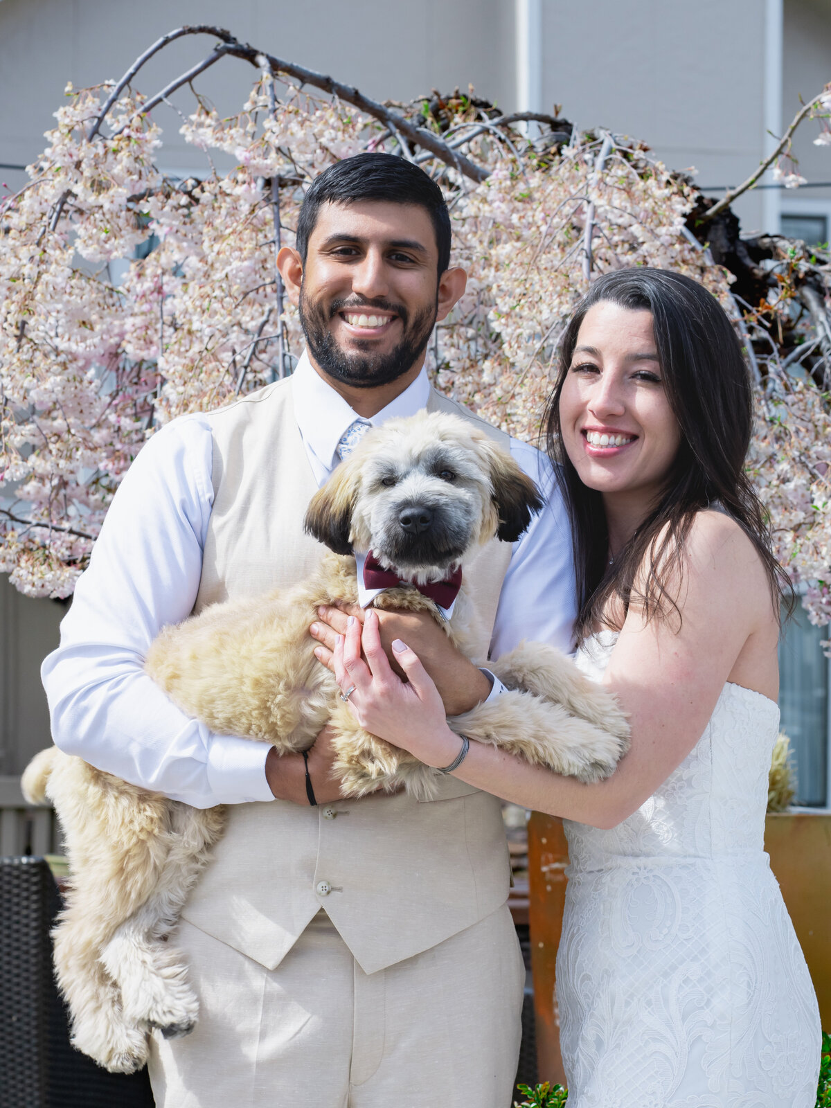 Cute wedding couple portrait with a puppy in San Francisco. 4Karma Studio wedding photography and video
