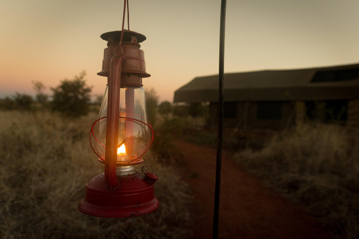 Evening Lamps