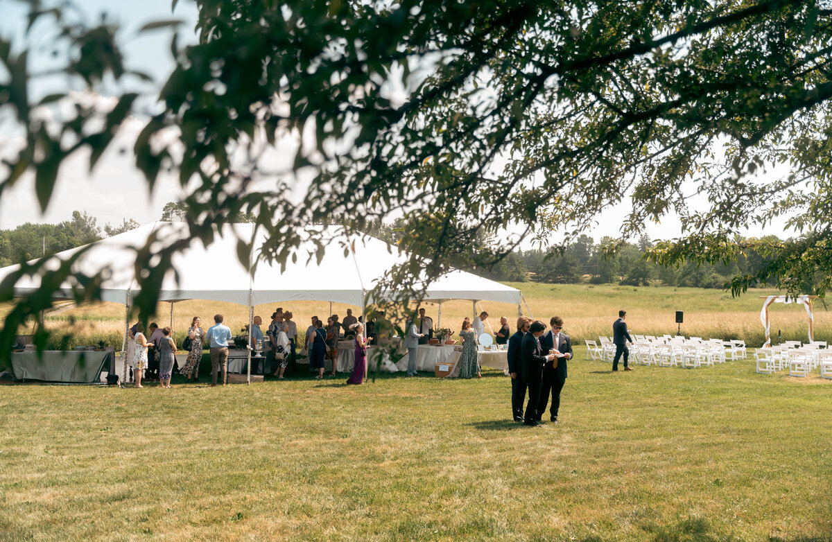 Outdoor wedding reception with family in backyard