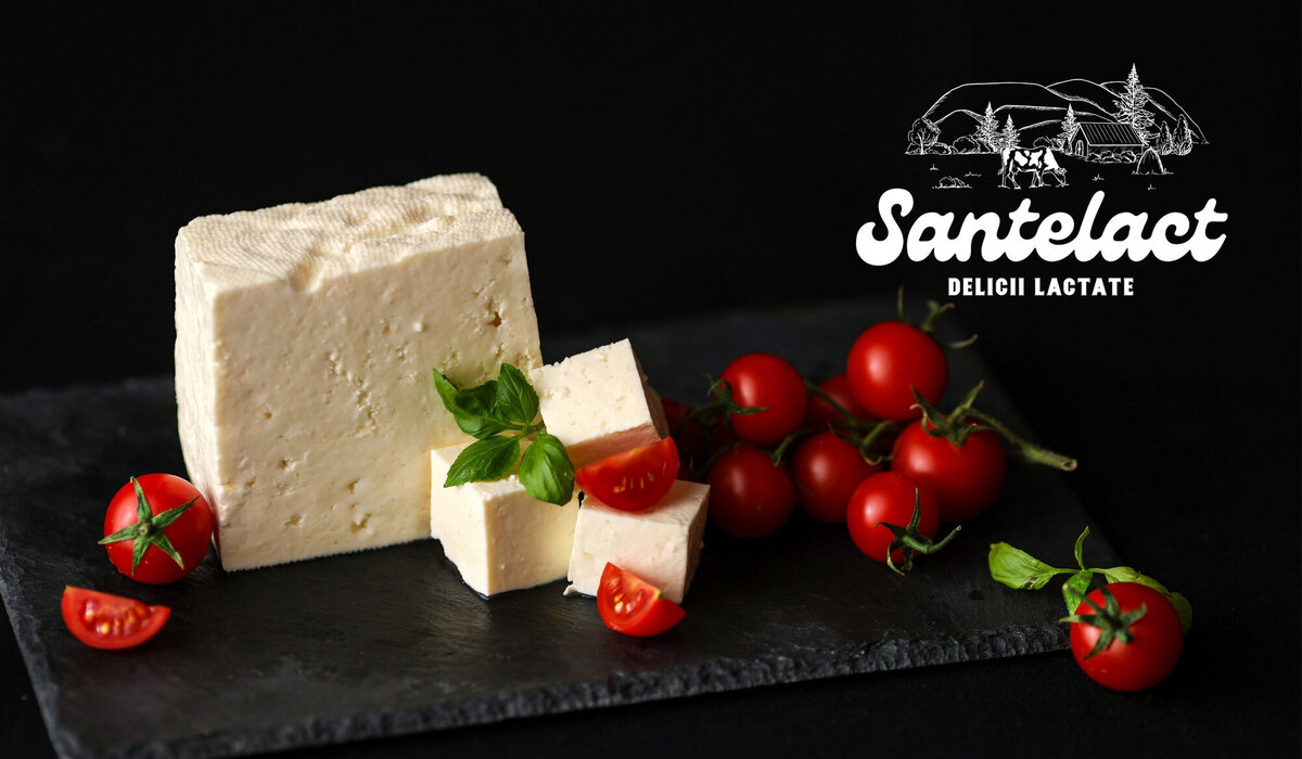 brand design for dairy company18